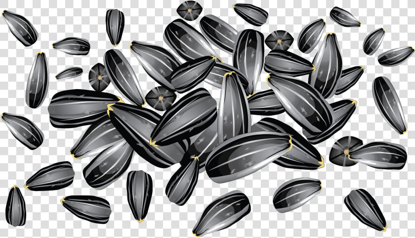 Sunflower Seeds Png Image   Sunflower Seed Vector Free  Transparent PngTransparent PNG