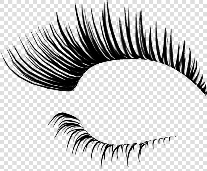 Eyelash Png   Transparent Background Eyelashes Transparent  Png DownloadTransparent PNG