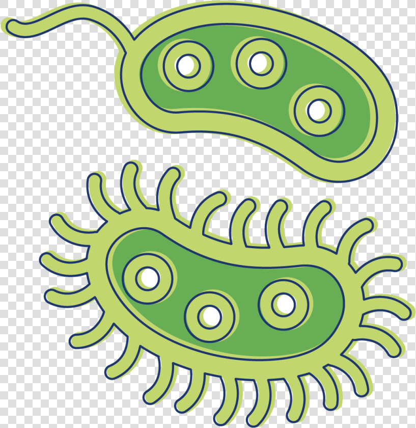 Clip Art Clipart Bacteria   Transparent Background Bacteria Clipart  HD Png DownloadTransparent PNG