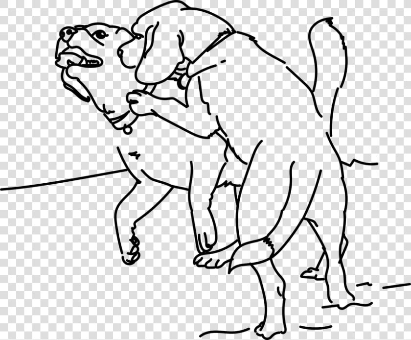 Playing  Beagle  Dog  Pet  Friend  Puppy  Animal   Vektor Hitam Putih Gambar Fuck  HD Png DownloadTransparent PNG