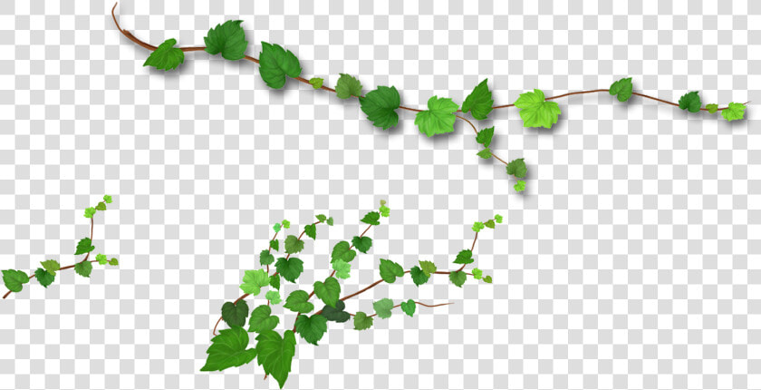 Branch Leaf Tree   Realistic Green Leaves Png  Transparent PngTransparent PNG