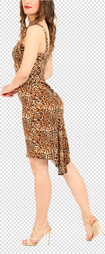 Animal Print Fishtail Dress   Photo Shoot  HD Png DownloadTransparent PNG