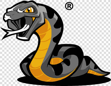 Logo Anaconda  HD Png DownloadTransparent PNG