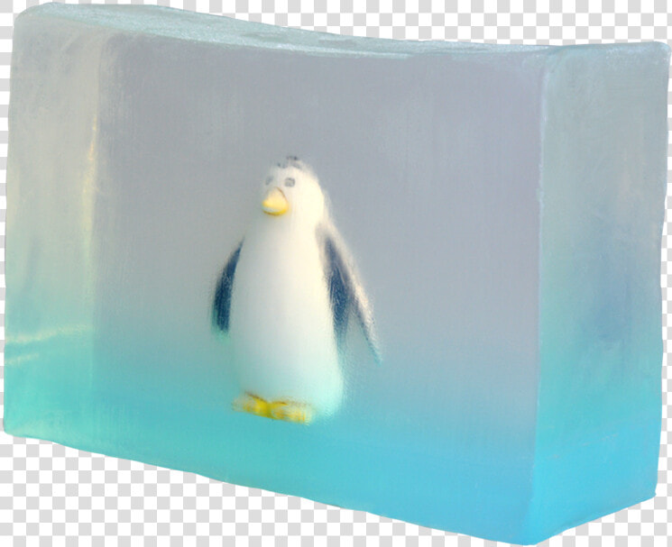 Penguin Title Penguin   Penguin  HD Png DownloadTransparent PNG