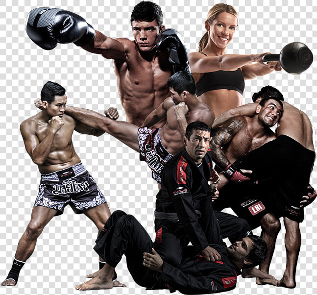 Transparent Fight Png   Mixed Martial Arts Png  Png DownloadTransparent PNG