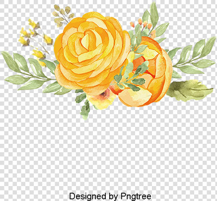 Vector Daisy Vector Daisy   Yellow Watercolor Flower Transparent Background  HD Png DownloadTransparent PNG