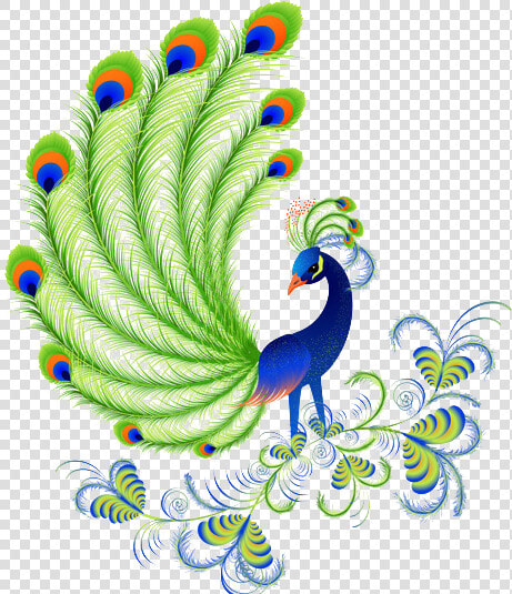 Peacock Png Photo   Beautiful Designs Of Peacock  Transparent PngTransparent PNG