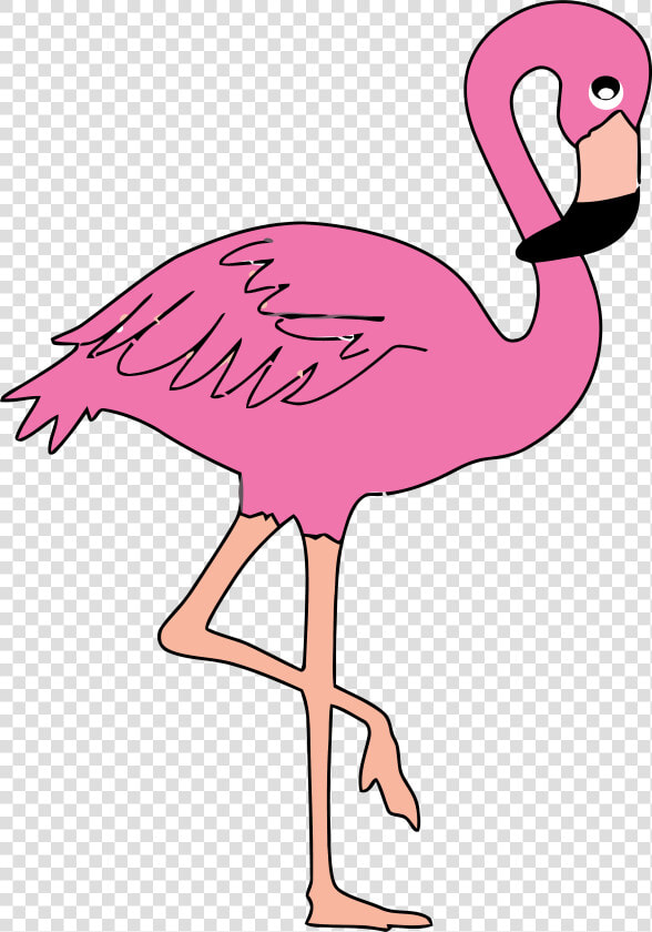 Pink Flamingo Clip Art   Flamingo Ks2  HD Png DownloadTransparent PNG