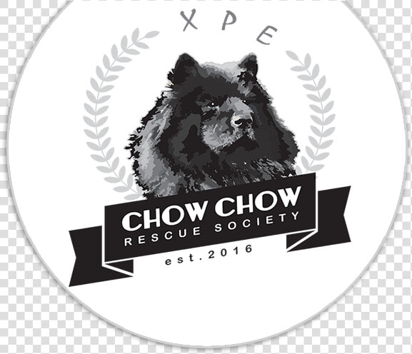 Chow Chow Rescue Society   Aspire World School Humhama  HD Png DownloadTransparent PNG