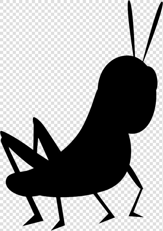 Cricket Insect Png   Cartoon Cricket Insect  Transparent PngTransparent PNG