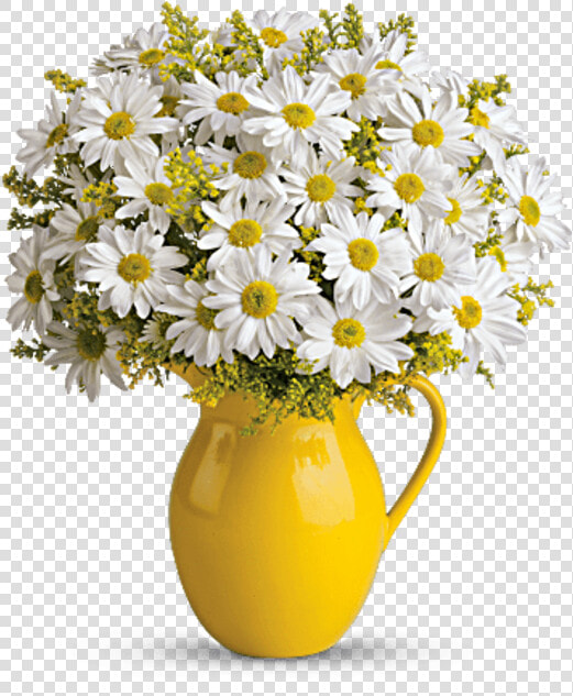 Sunny Day Pitcher Of Daisies   Yellow Flower Pot Png  Transparent PngTransparent PNG