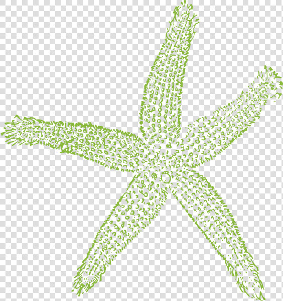 Starfish Svg Clip Arts   Navy Blue Starfish Clipart  HD Png DownloadTransparent PNG