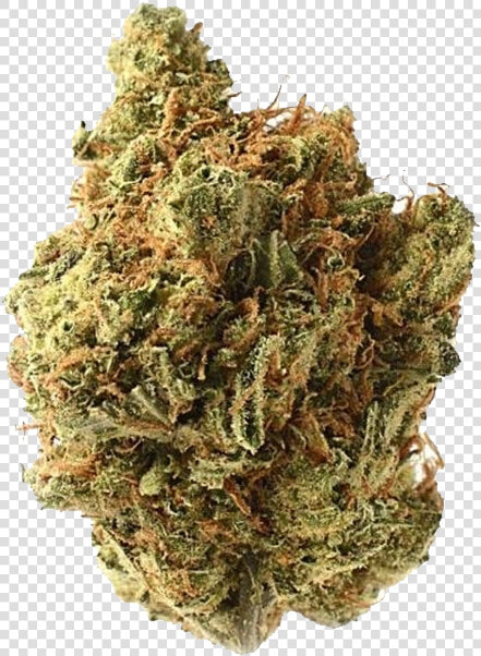 Amnesia Haze Amsterdam  HD Png DownloadTransparent PNG