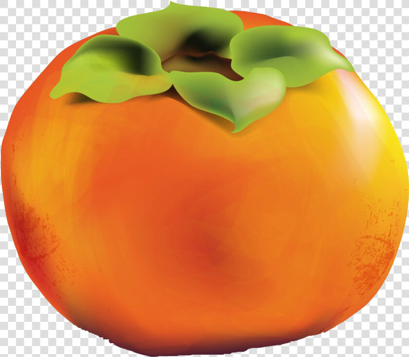 Persimmon Png   Persimmon  Transparent PngTransparent PNG