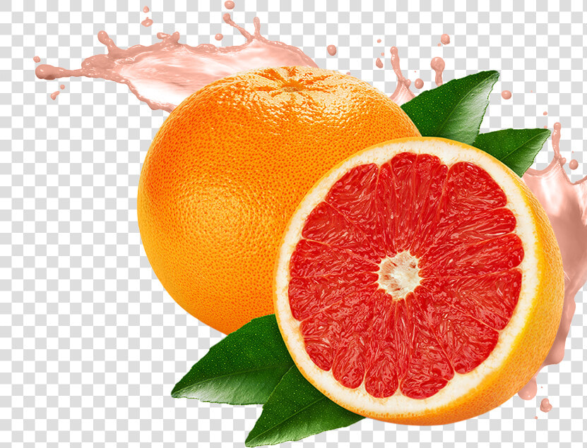 Grapefruit Png Image   Transparent Grapefruit Png  Png DownloadTransparent PNG