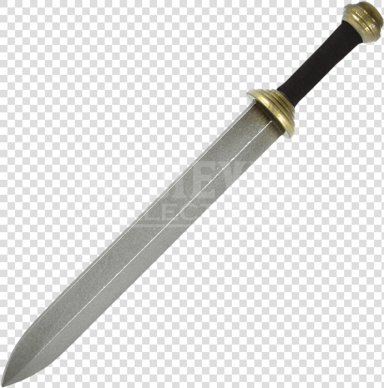 Transparent Swords Png   Gladiator Sword Sword Png  Png DownloadTransparent PNG