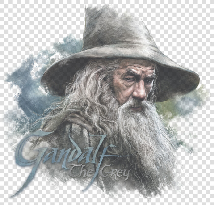 Gandalf Png  Transparent PngTransparent PNG