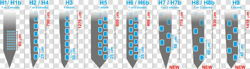 Advanced Neural Probes   Multi Unit Electrode Probe  HD Png DownloadTransparent PNG