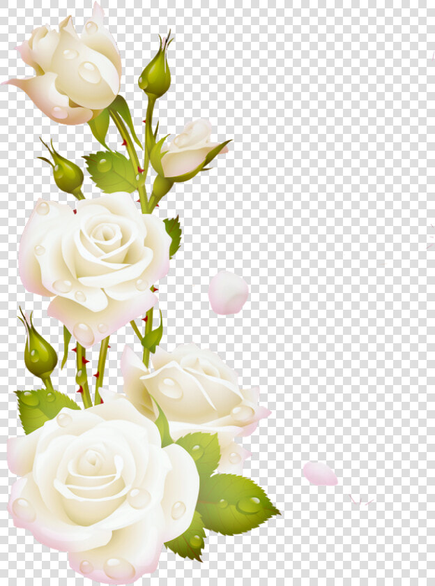 Flores Blancas Png   Wish A Friend Happy Sunday  Transparent PngTransparent PNG