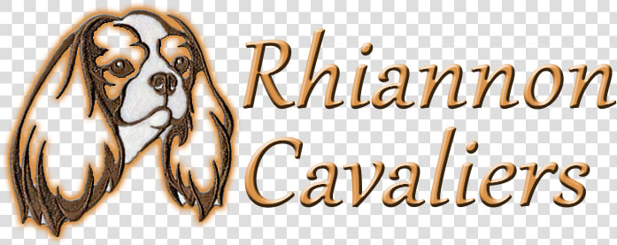 Rhiannon cavaliers   Spaniel  HD Png DownloadTransparent PNG