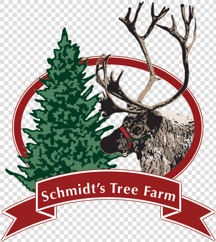 Schmidt S Tree Farm Logo   Christmas Tree  HD Png DownloadTransparent PNG