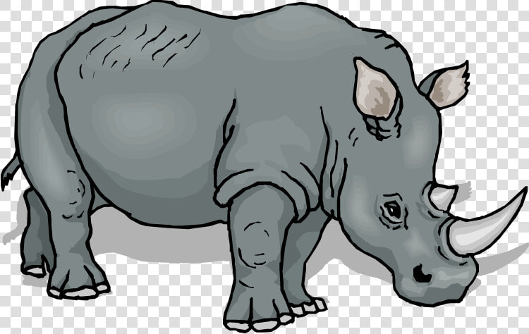 Hippo Clipart Rhino   Rhino Clipart  HD Png DownloadTransparent PNG