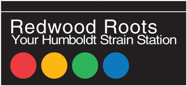 Redwood Roots   Circle  HD Png DownloadTransparent PNG