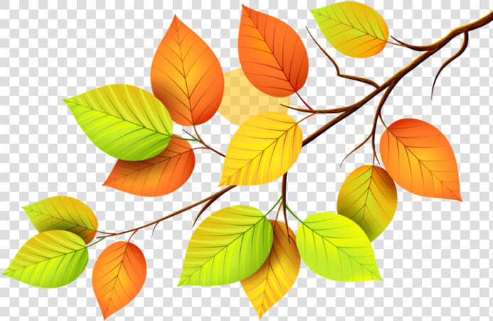 Http     img0   Liveinternet   Ru images attach c    Clip Art Bo Leaves  HD Png DownloadTransparent PNG