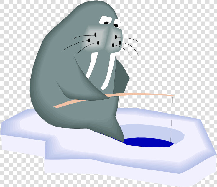 Walrus Clipart   Walrus Fishing Cartoon  HD Png DownloadTransparent PNG