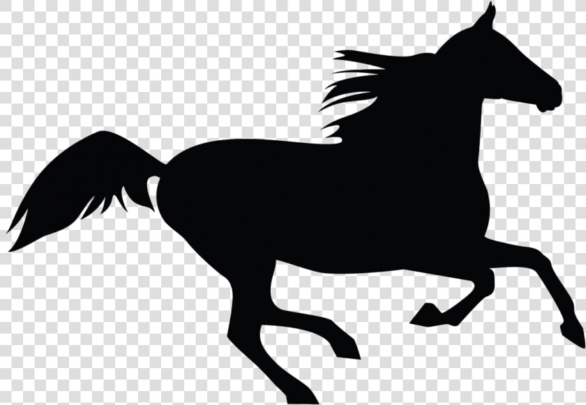 Horse Royalty free Clip Art   Clip Art Horse  HD Png DownloadTransparent PNG