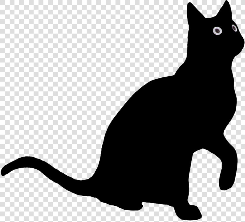 Cat Looking Up Silhouette   Cat Looking Up Clipart  HD Png DownloadTransparent PNG