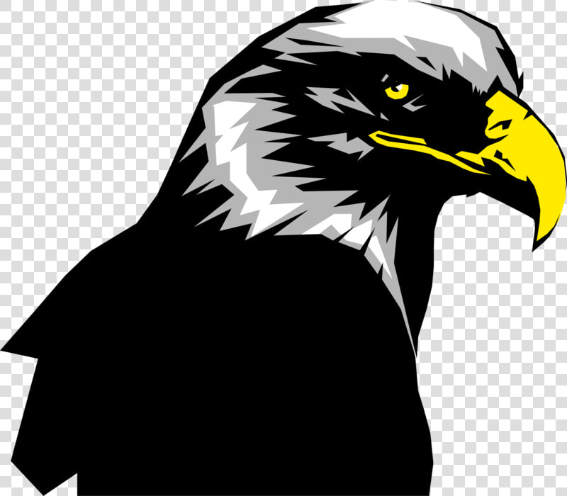 More In Same Style Group Golden Eagle    Golden Eagle  HD Png DownloadTransparent PNG