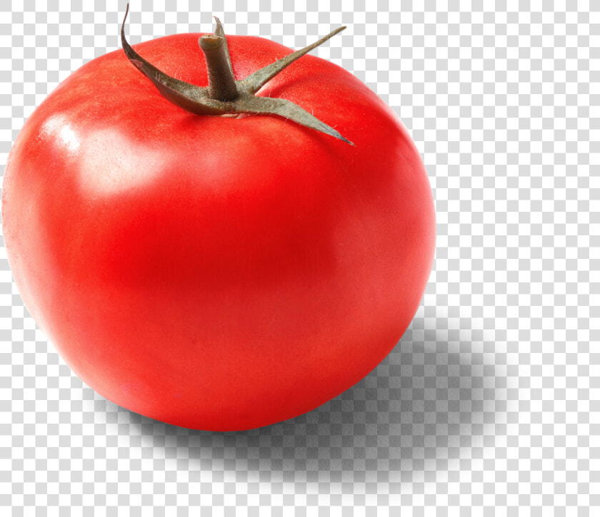 Single Pure Flavor Red Beefsteak Tomato   Single Cherry Tomato Png  Transparent PngTransparent PNG