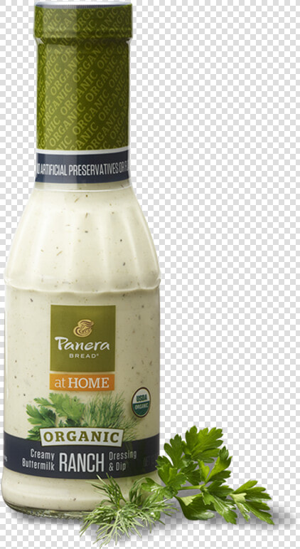 Organic Creamy Buttermilk Ranch Dressing  amp  Dip   Panera Ranch Dressing  HD Png DownloadTransparent PNG