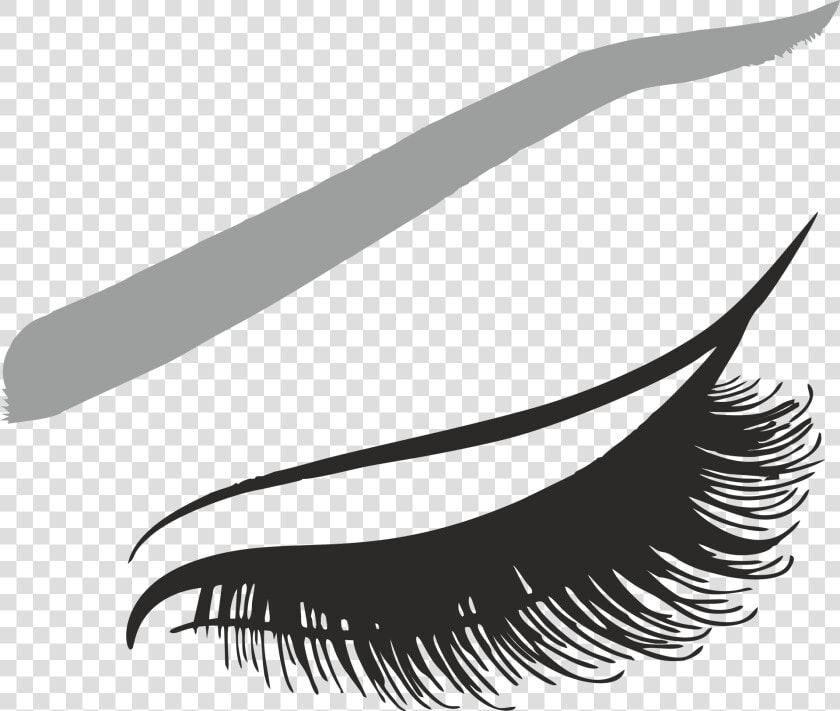 Eyelash Png   Картинки Png Ресницы  Transparent PngTransparent PNG