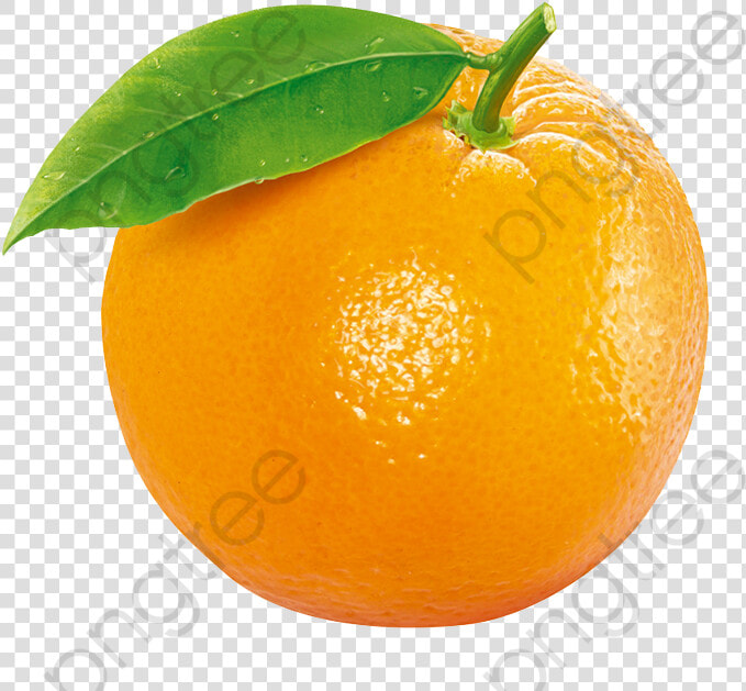 Naranja Clipart   Orange Fruit Transparent Background  HD Png DownloadTransparent PNG