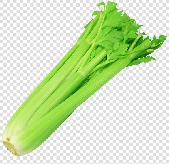 Transparent Celery Png   Celery Png  Png DownloadTransparent PNG