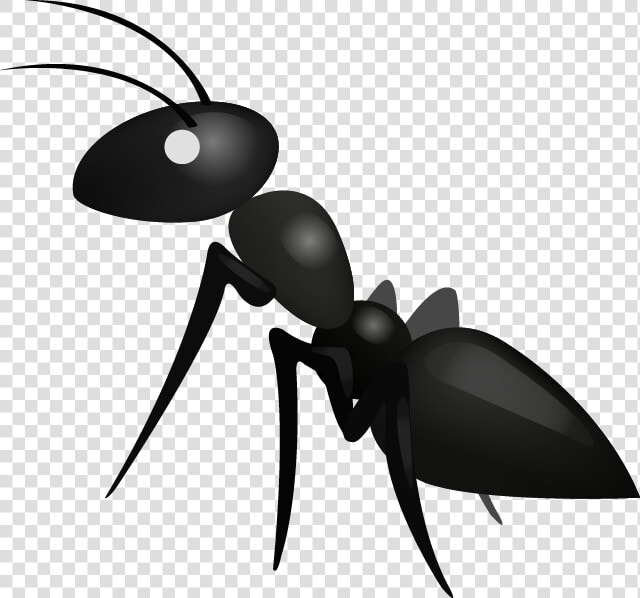 Transparent Ant Clipart   Ant Emoji  HD Png DownloadTransparent PNG