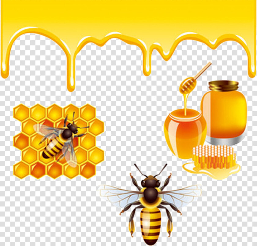 Transparent Honeybee Png   Honey Bees Bee Png  Png DownloadTransparent PNG