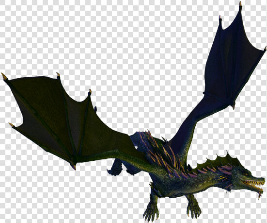 Green Dragon Token  HD Png DownloadTransparent PNG