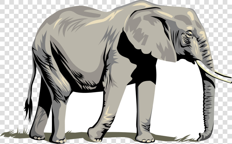 Elephant Free Elephants Images Clip Art On Transparent  HD Png DownloadTransparent PNG