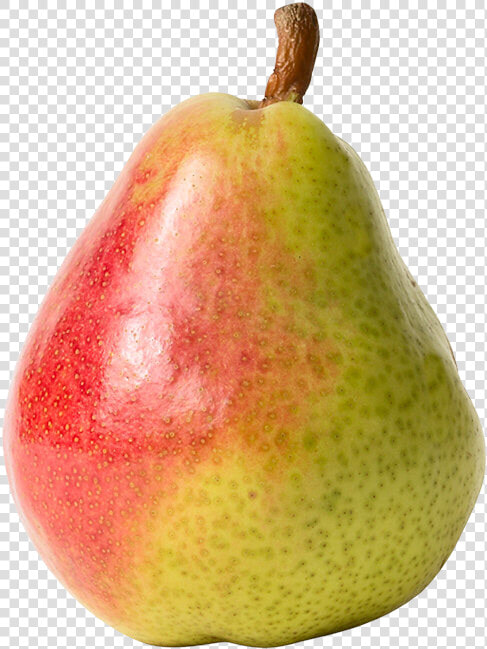 Red And Yellow Pear Png Clipart   Pear Png  Transparent PngTransparent PNG