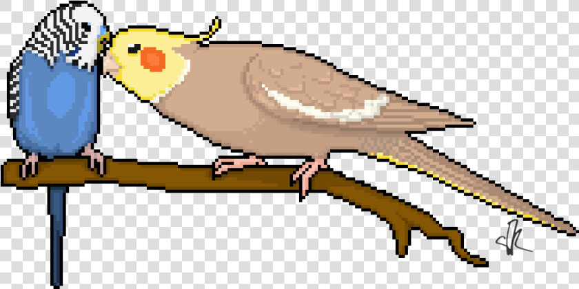 Pixel Parrots Budgie And   Bird Pixel Art Grid  HD Png DownloadTransparent PNG