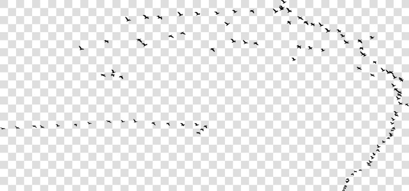 Swarm Of Birds Silhouette Clip Arts   Flock  HD Png DownloadTransparent PNG