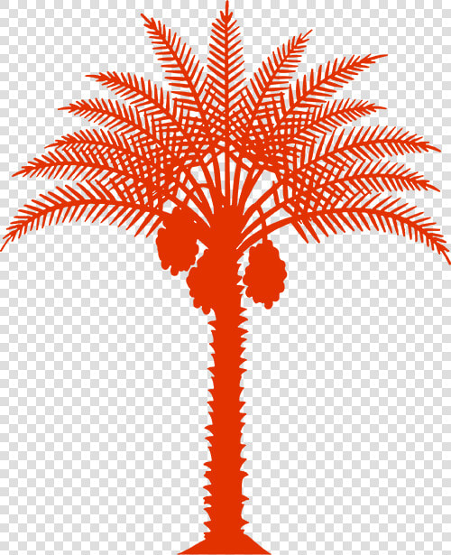 Palm   Medjool Dates California  HD Png DownloadTransparent PNG