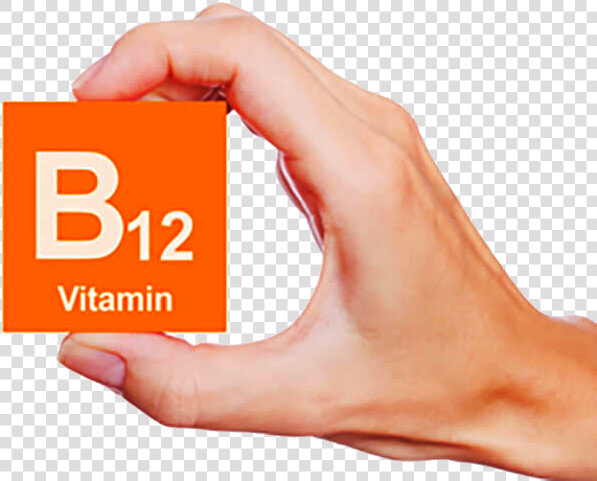 B12 Png Image   Vitamin B12 Deficiency Png  Transparent PngTransparent PNG