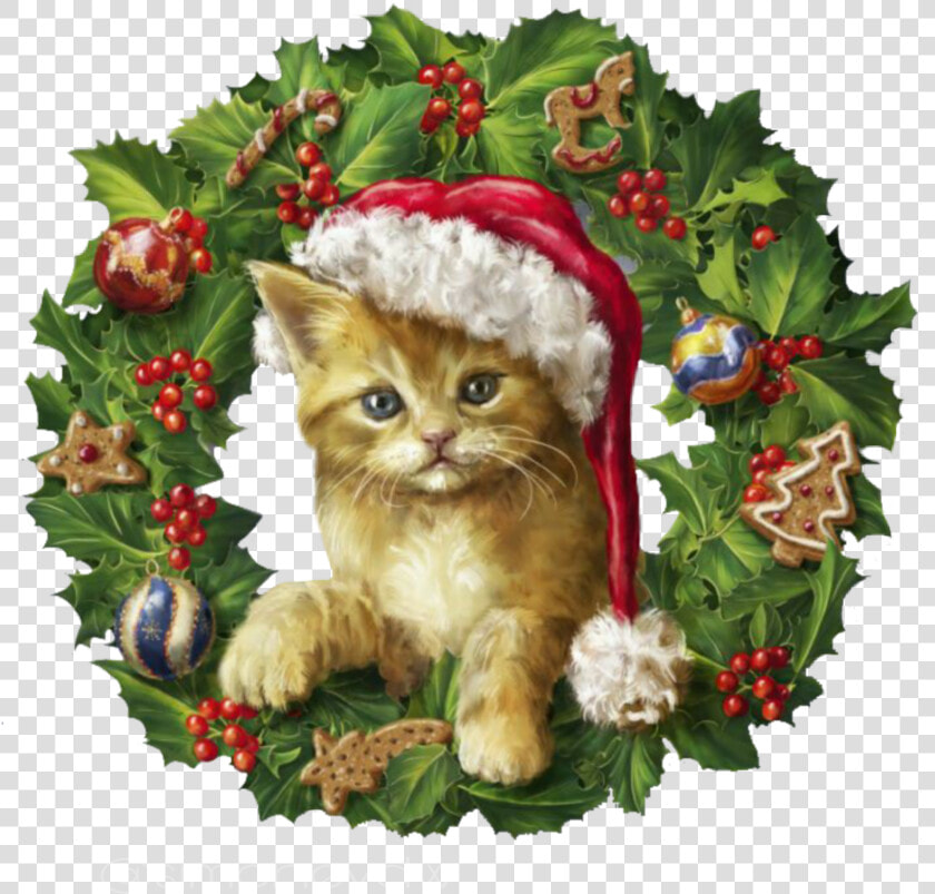  christmas  cat  wreath   Chat Couronne De Noël  HD Png DownloadTransparent PNG