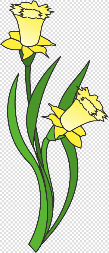 Transparent Narcissus Png  Png DownloadTransparent PNG