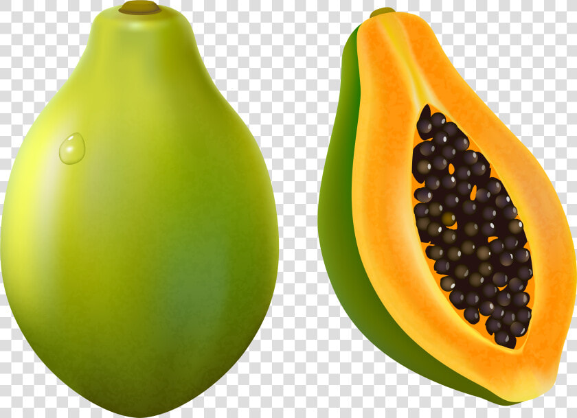 Papaya Clip Art  HD Png DownloadTransparent PNG