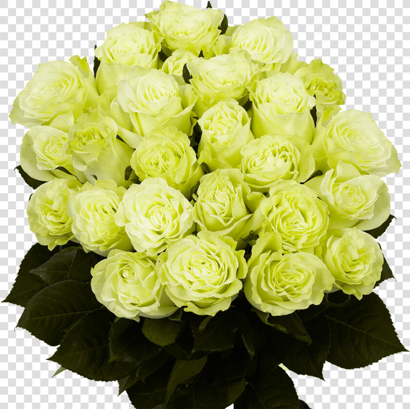 Flower Delivery 2 Dozen Green Roses Bouquets   Garden Roses  HD Png DownloadTransparent PNG